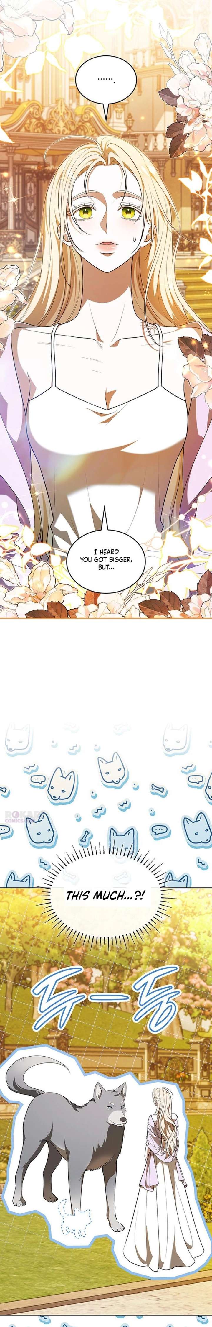 If You Want a Cheeky Sorceress Chapter 42 82 ch 42 7