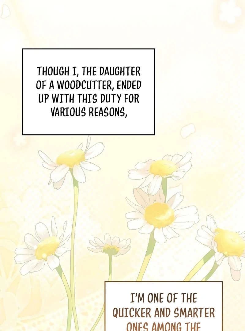 If You Want a Cheeky Sorceress Chapter 7 502 ch 7 60