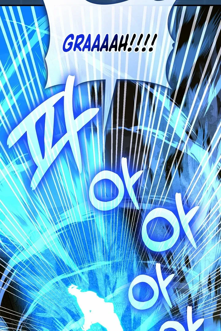 ch 105 113