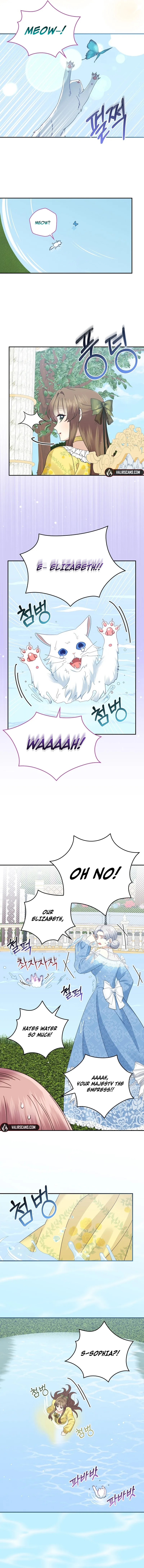 ch 17 2