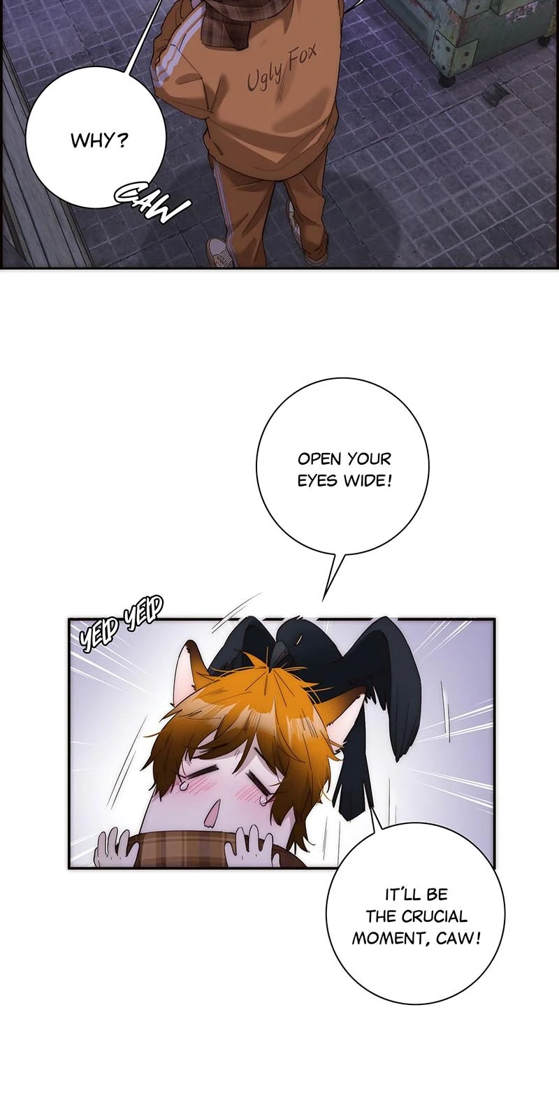 ch 22 28