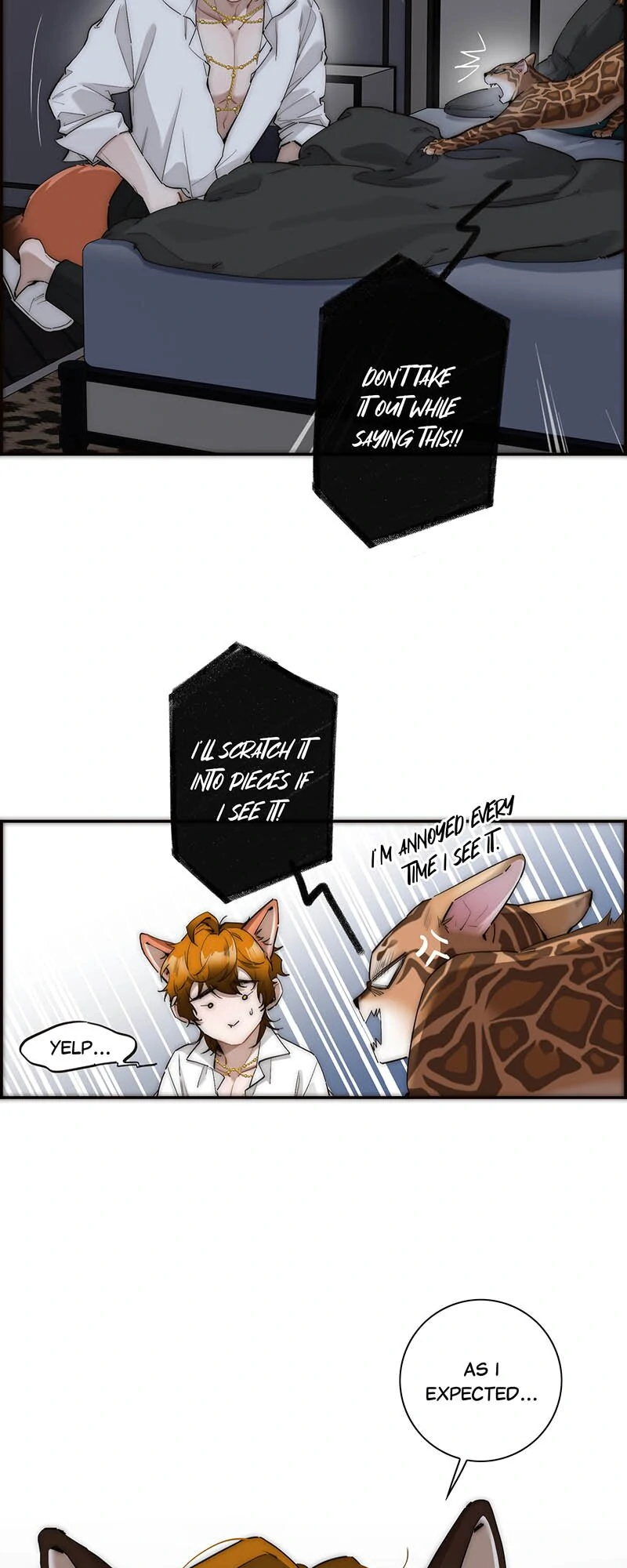 ch 31 16
