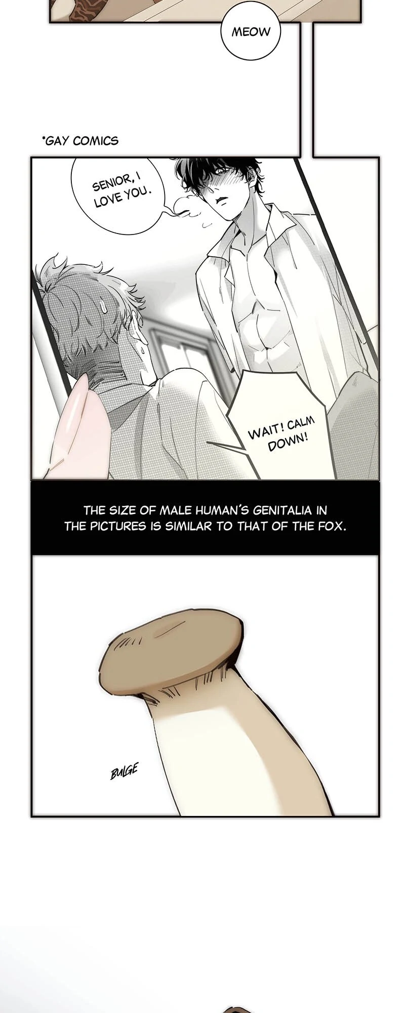 ch 31 19