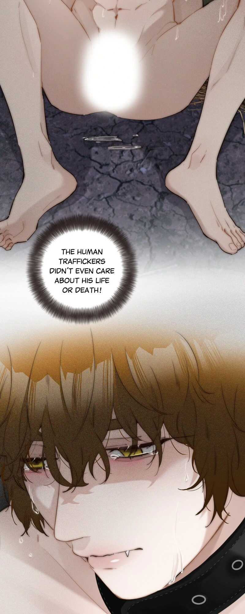 ch 36 3