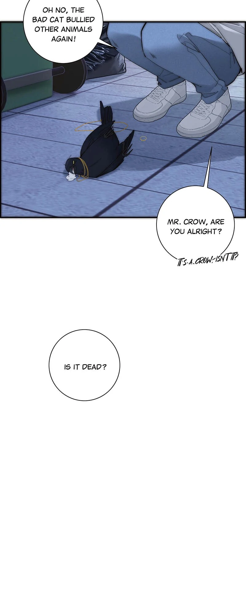 ch 37 12