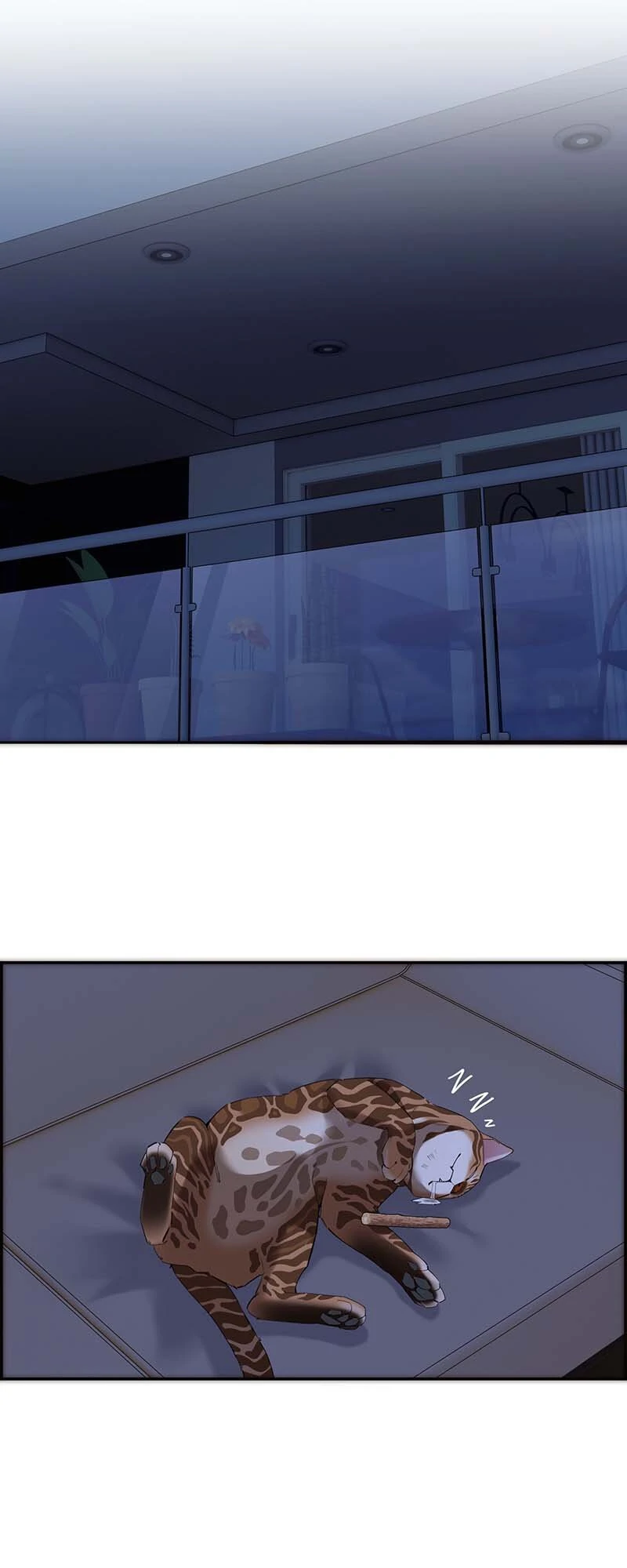 ch 48 11