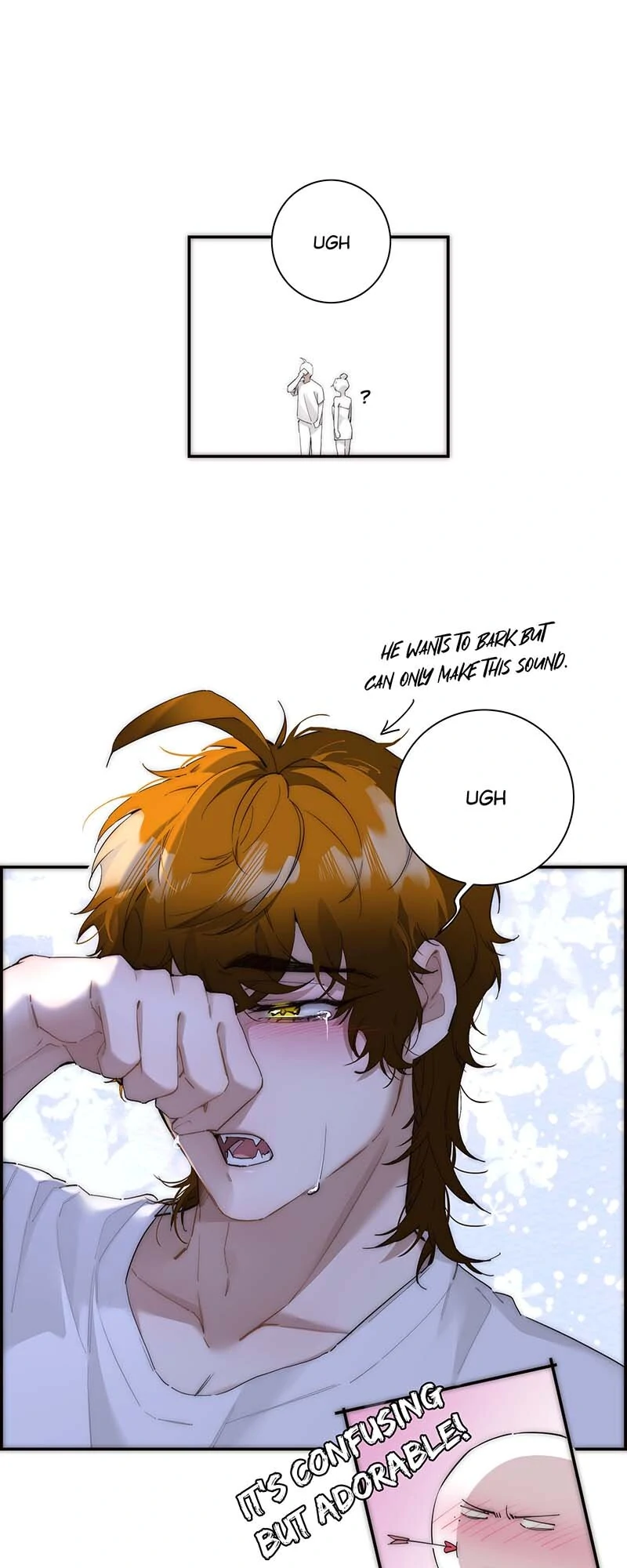ch 48 22