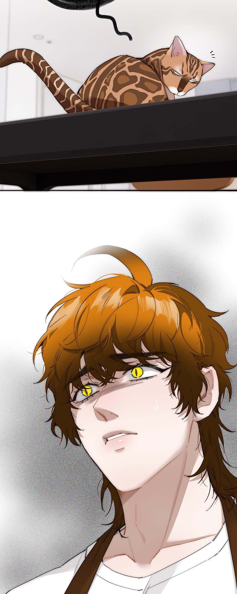 ch 48 6