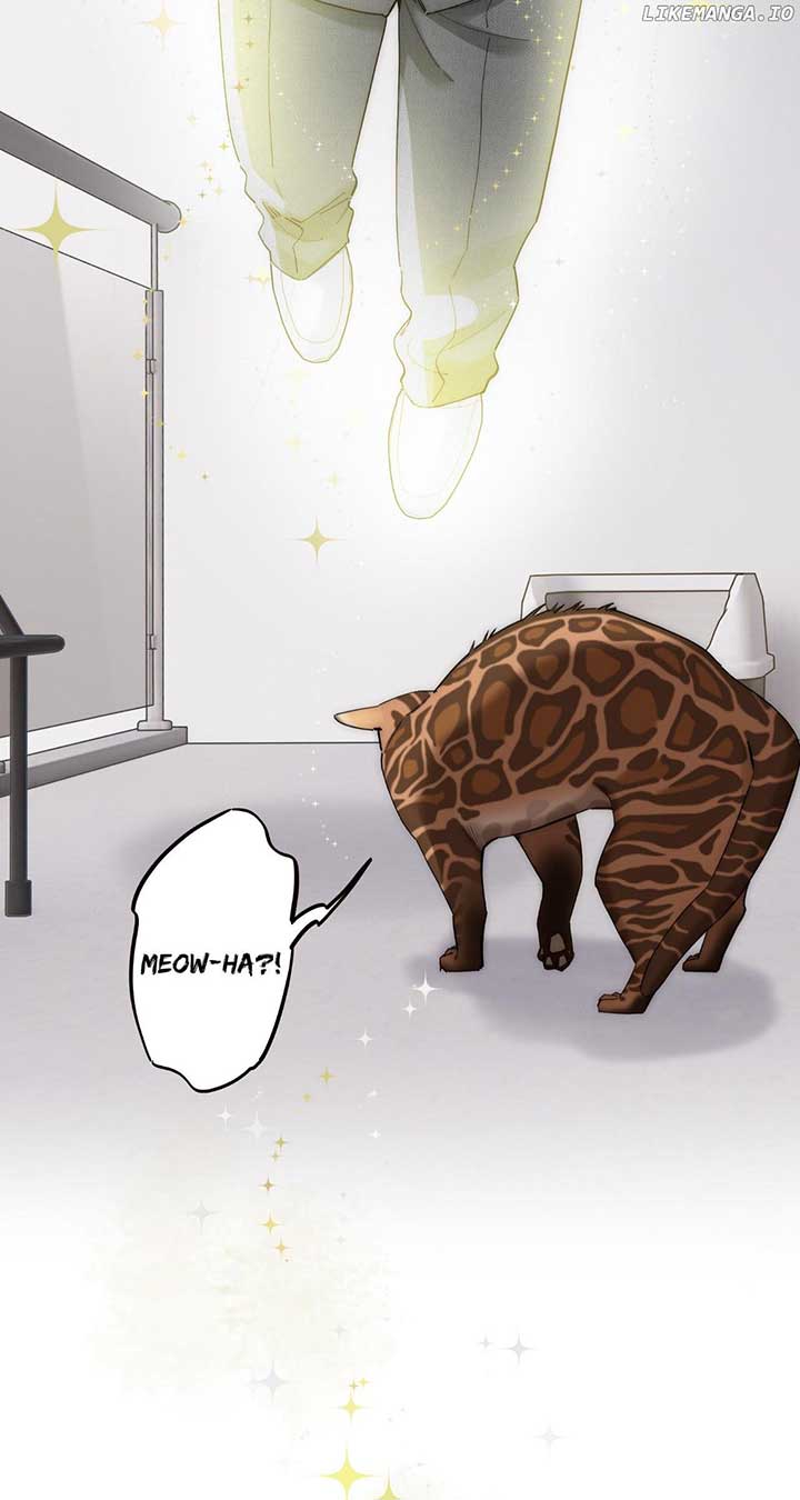 ch 65 17