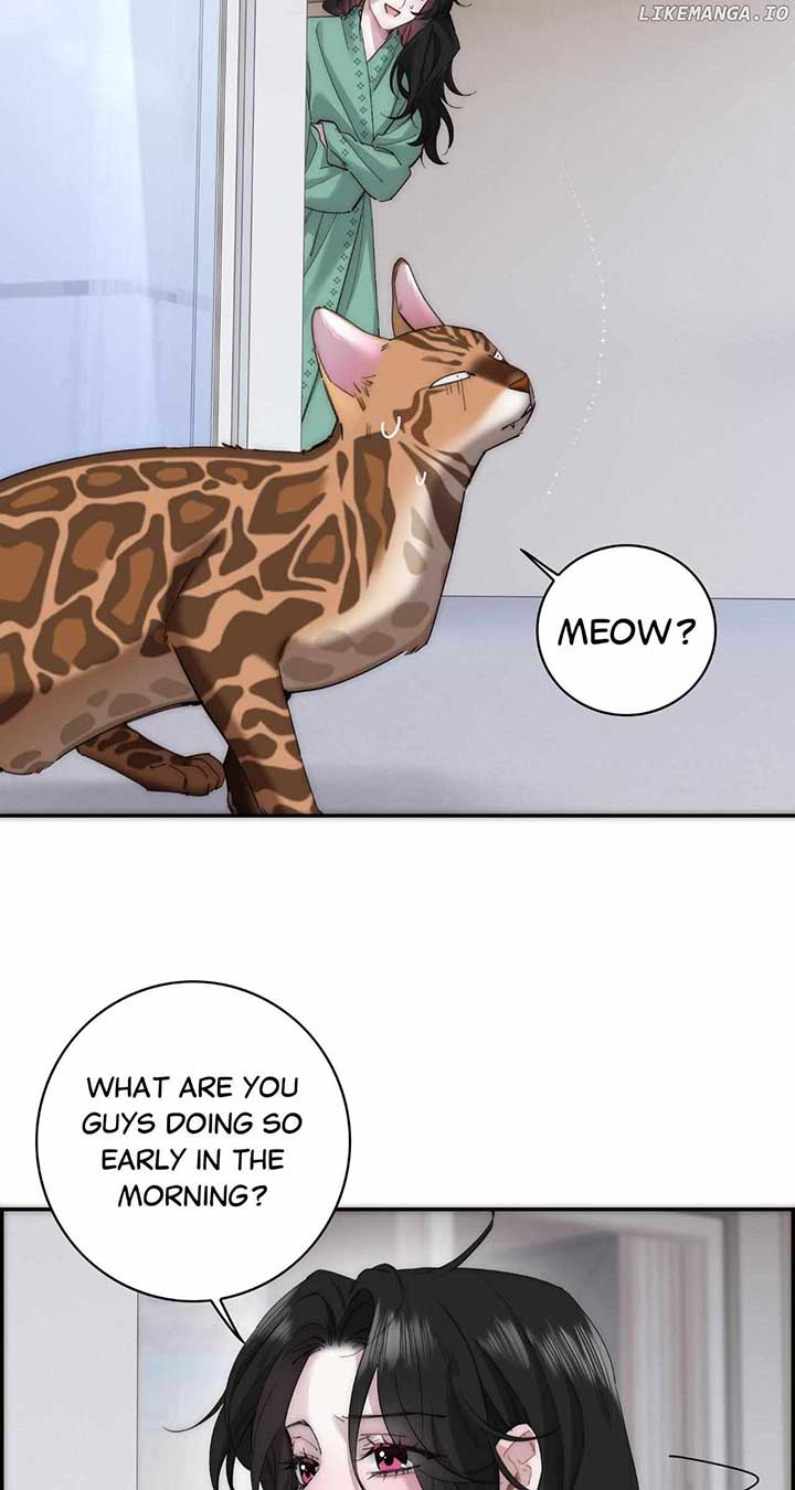 ch 65 19