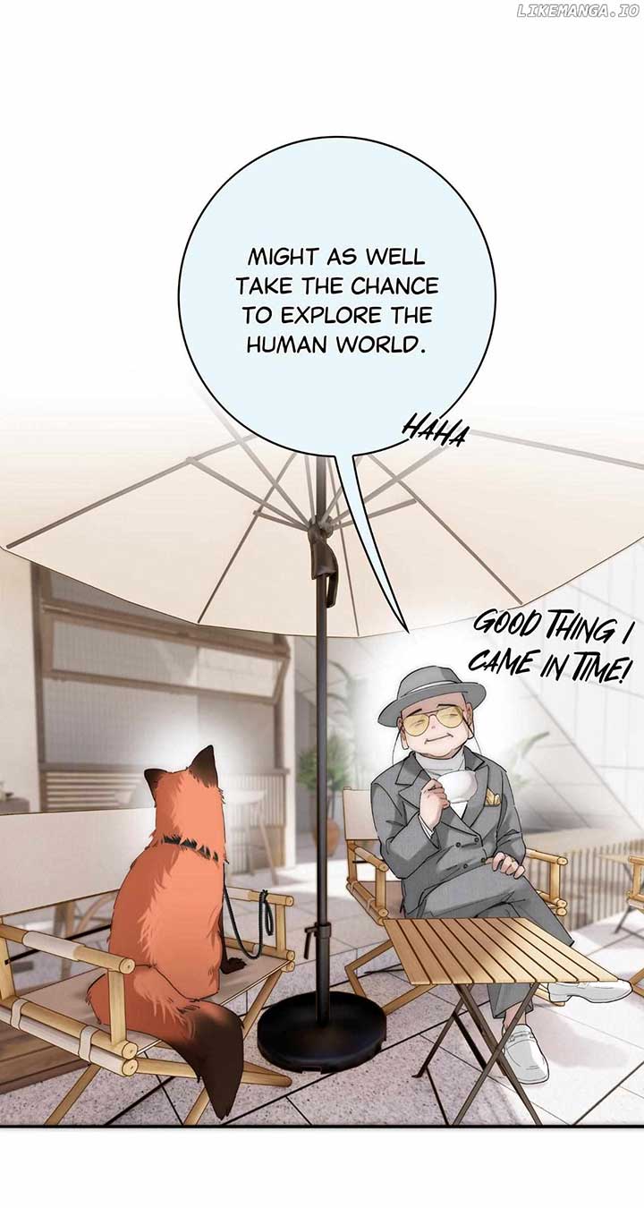 ch 65 28