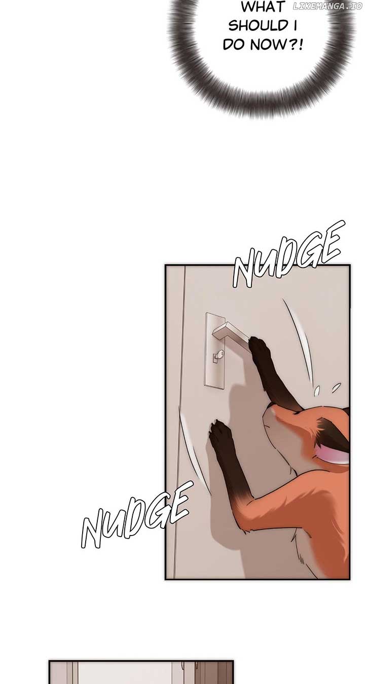 ch 65 3