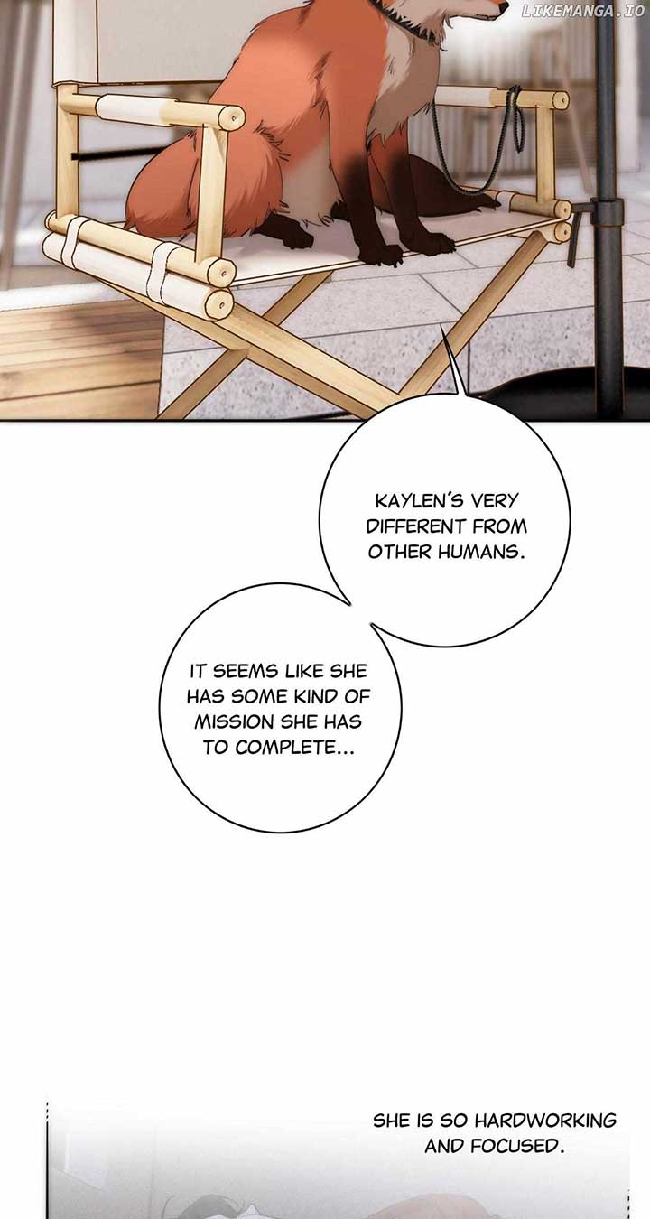 ch 65 36