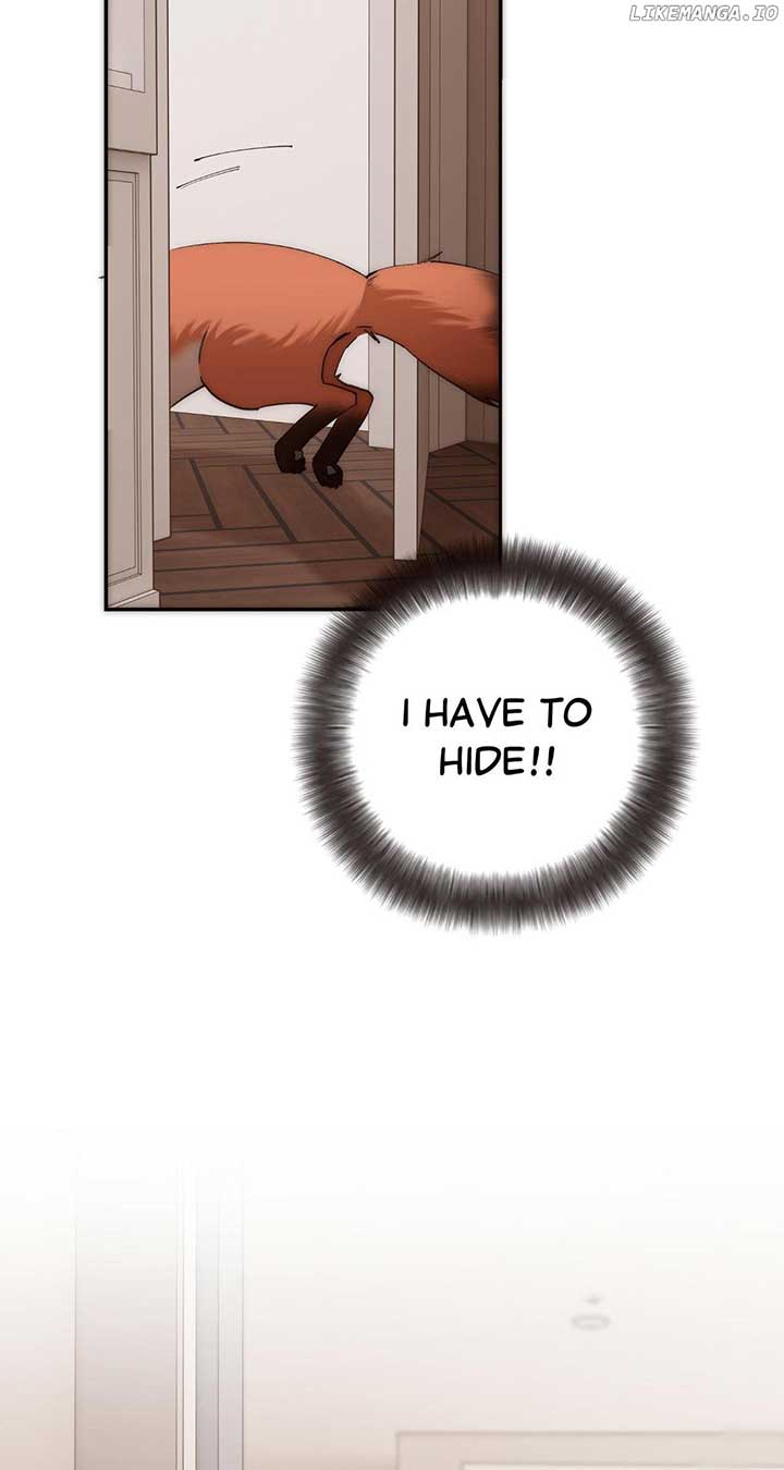 ch 65 4