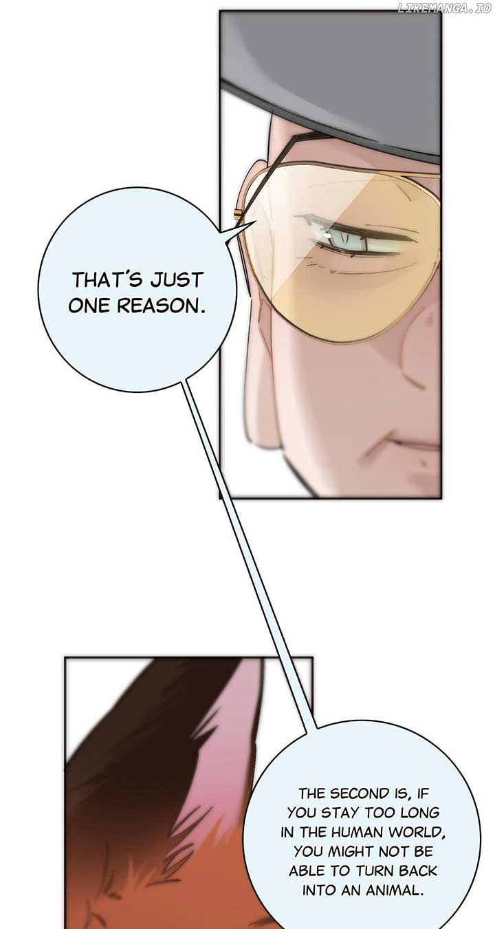 ch 65 47