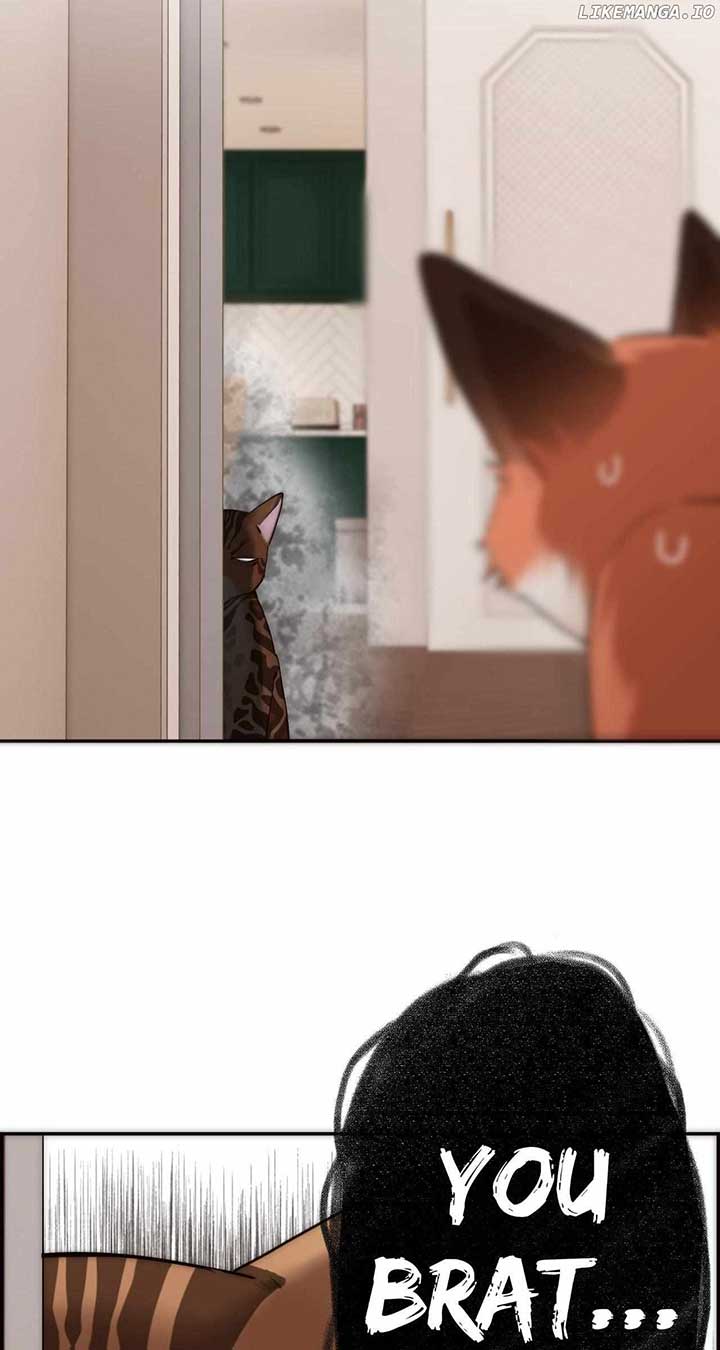 ch 65 5