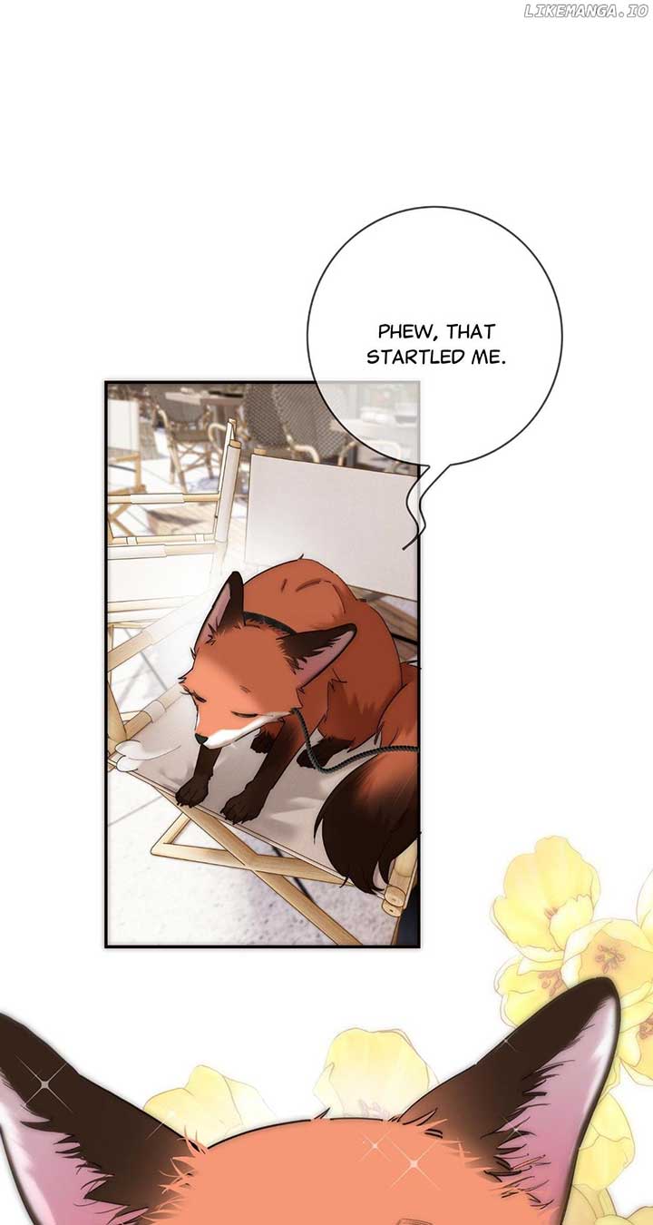 ch 65 50