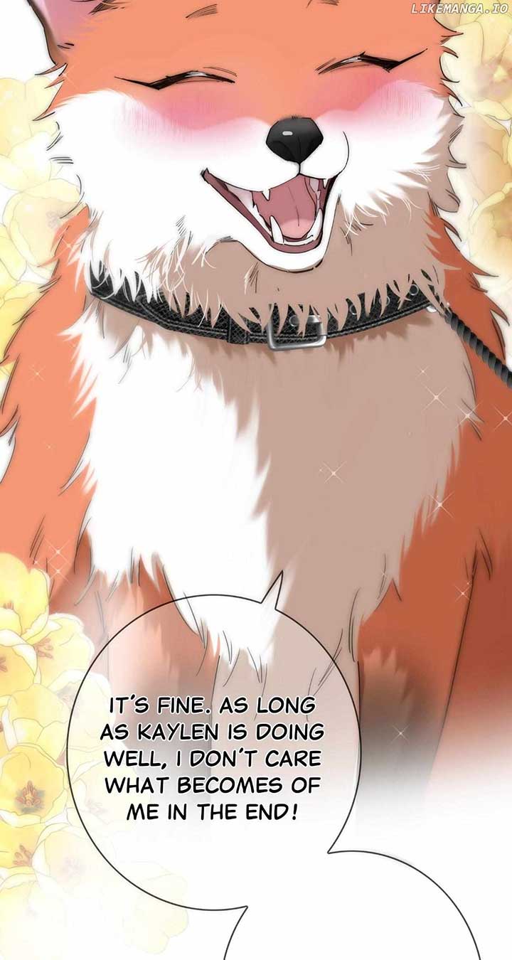 ch 65 51