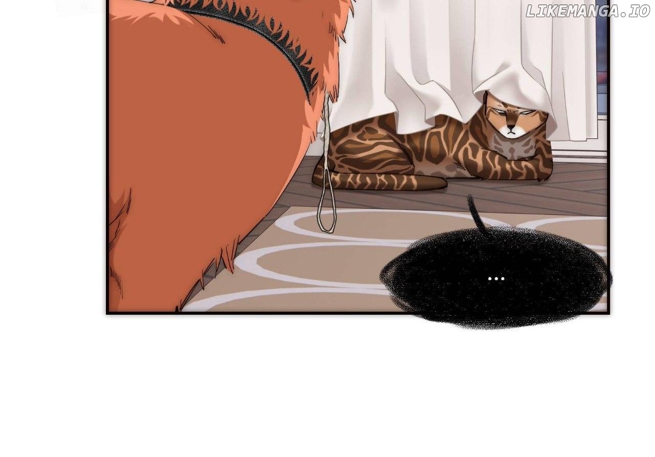 ch 66 29