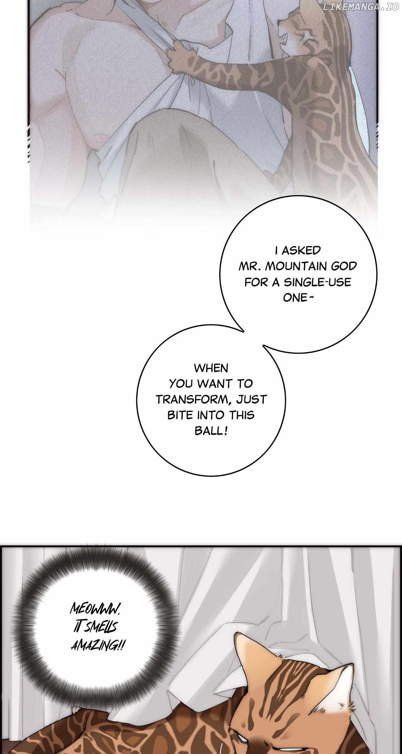 ch 66 33