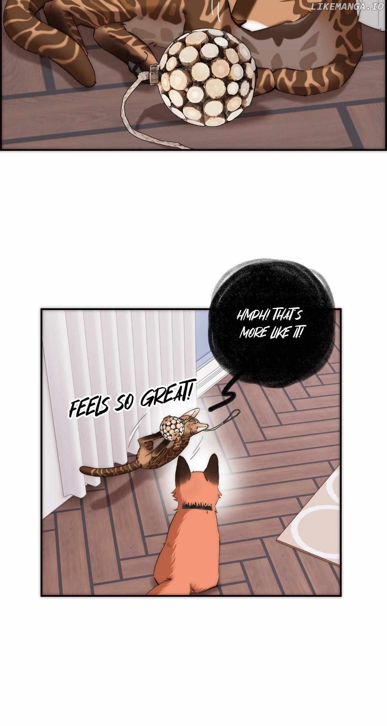 ch 66 34
