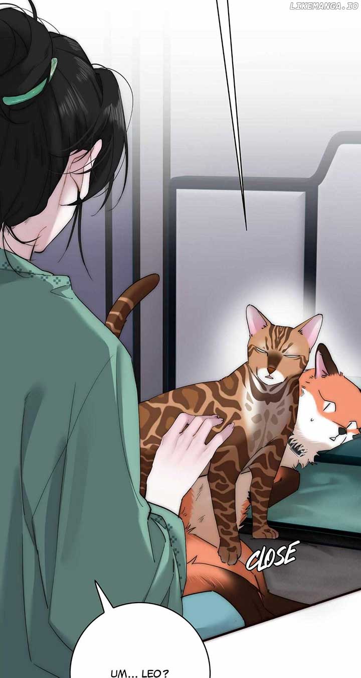ch 67 17