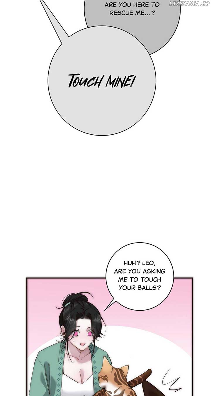 ch 67 19