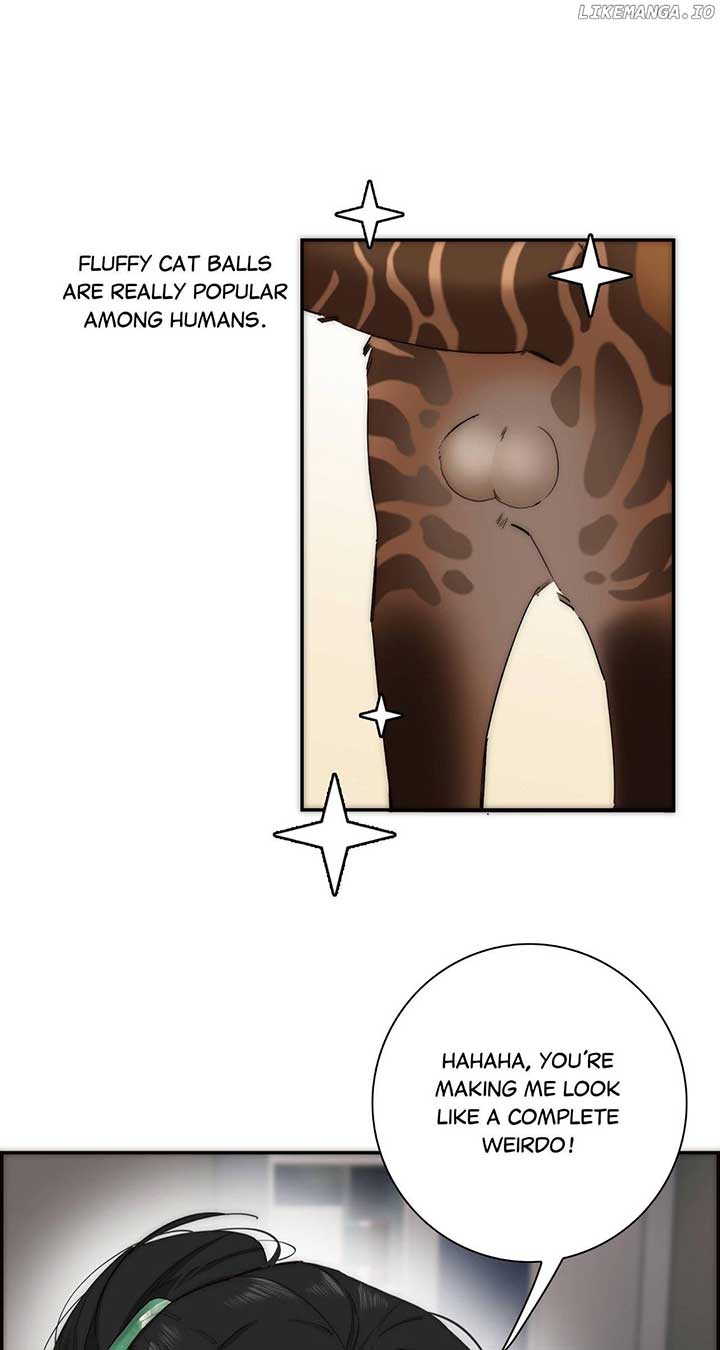 ch 67 21