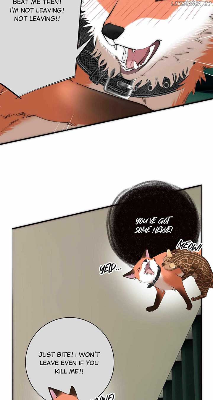 ch 67 25