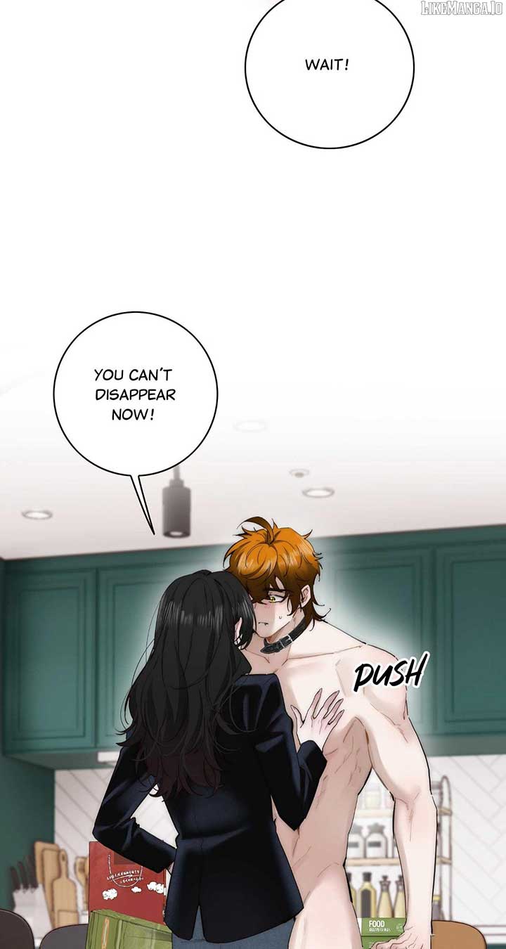 41