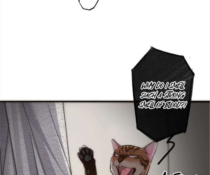 My Benefactor Is Not a Scholar Chapter 94 773 013