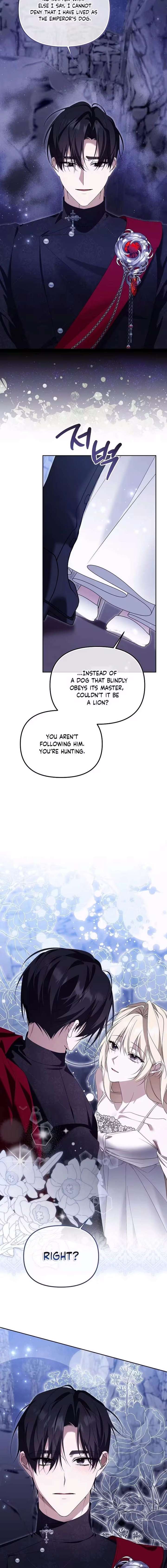 ch 74 17