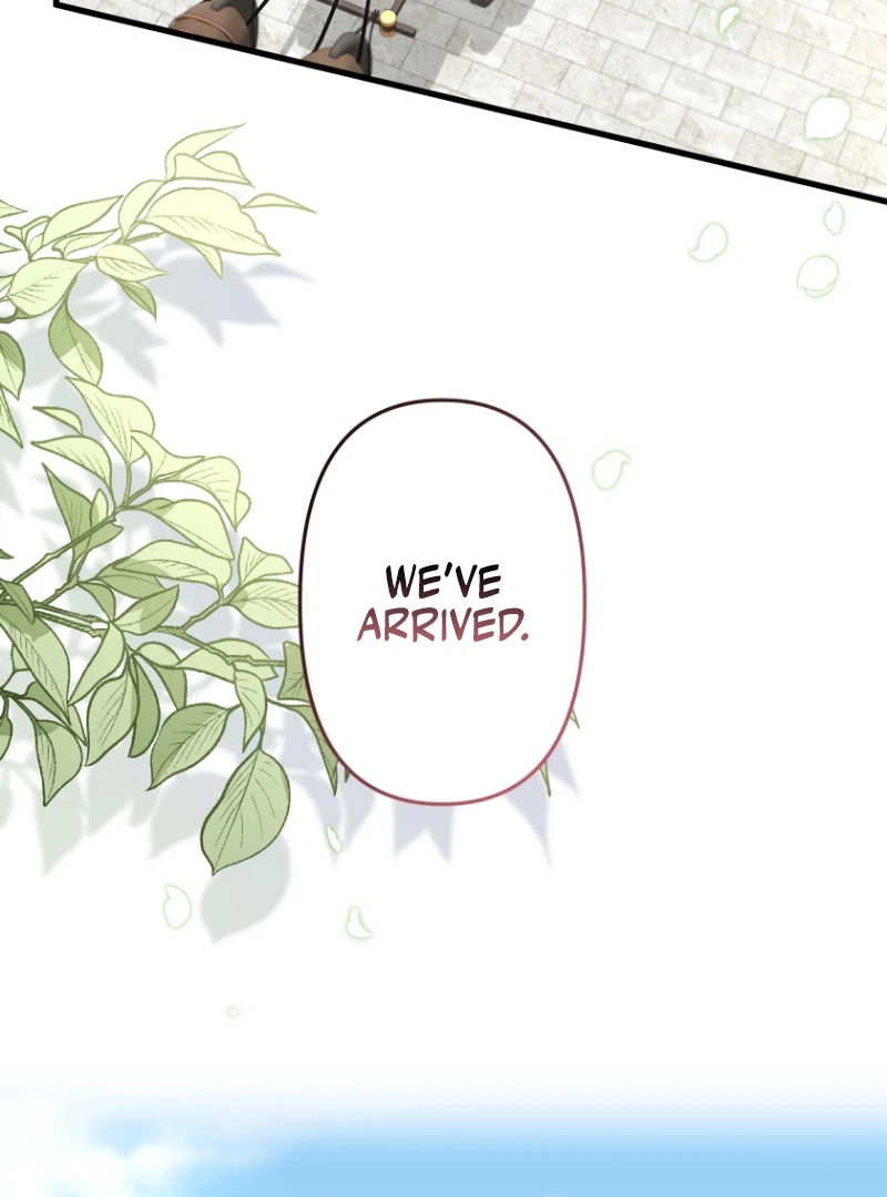ch 1 65