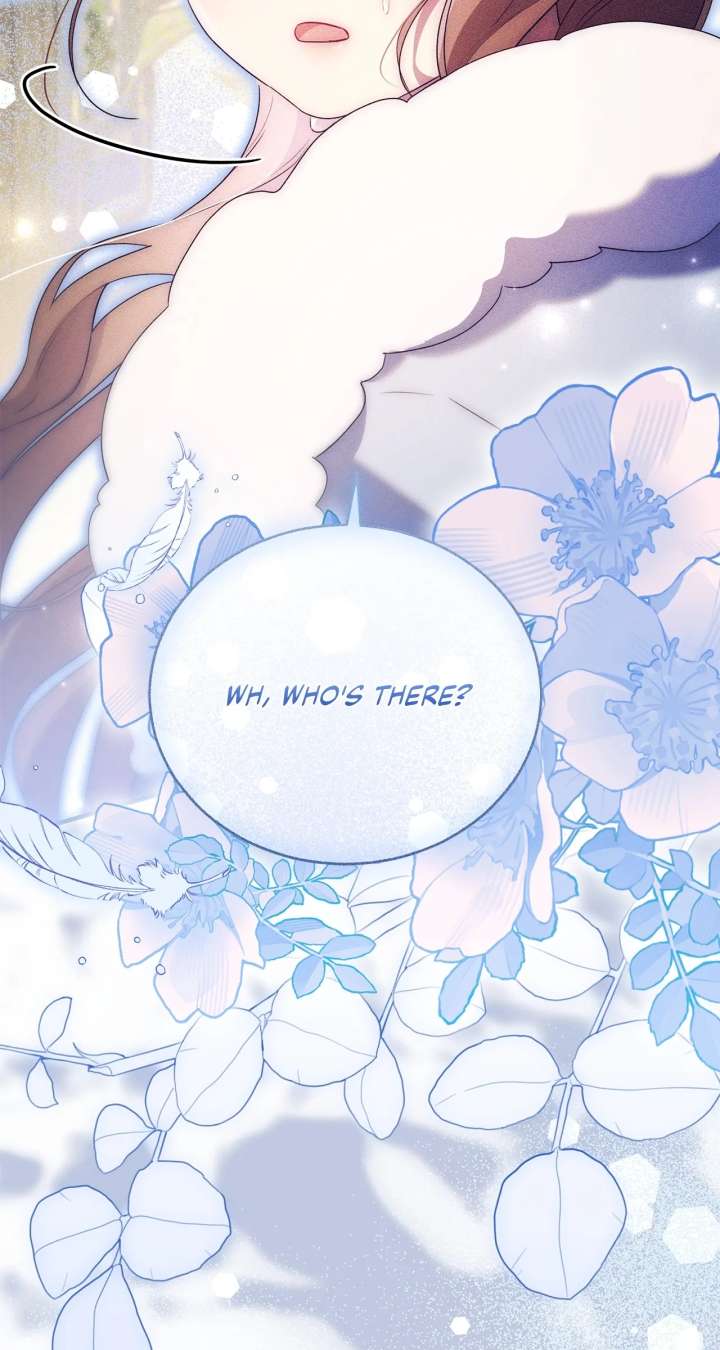 ch 41 13