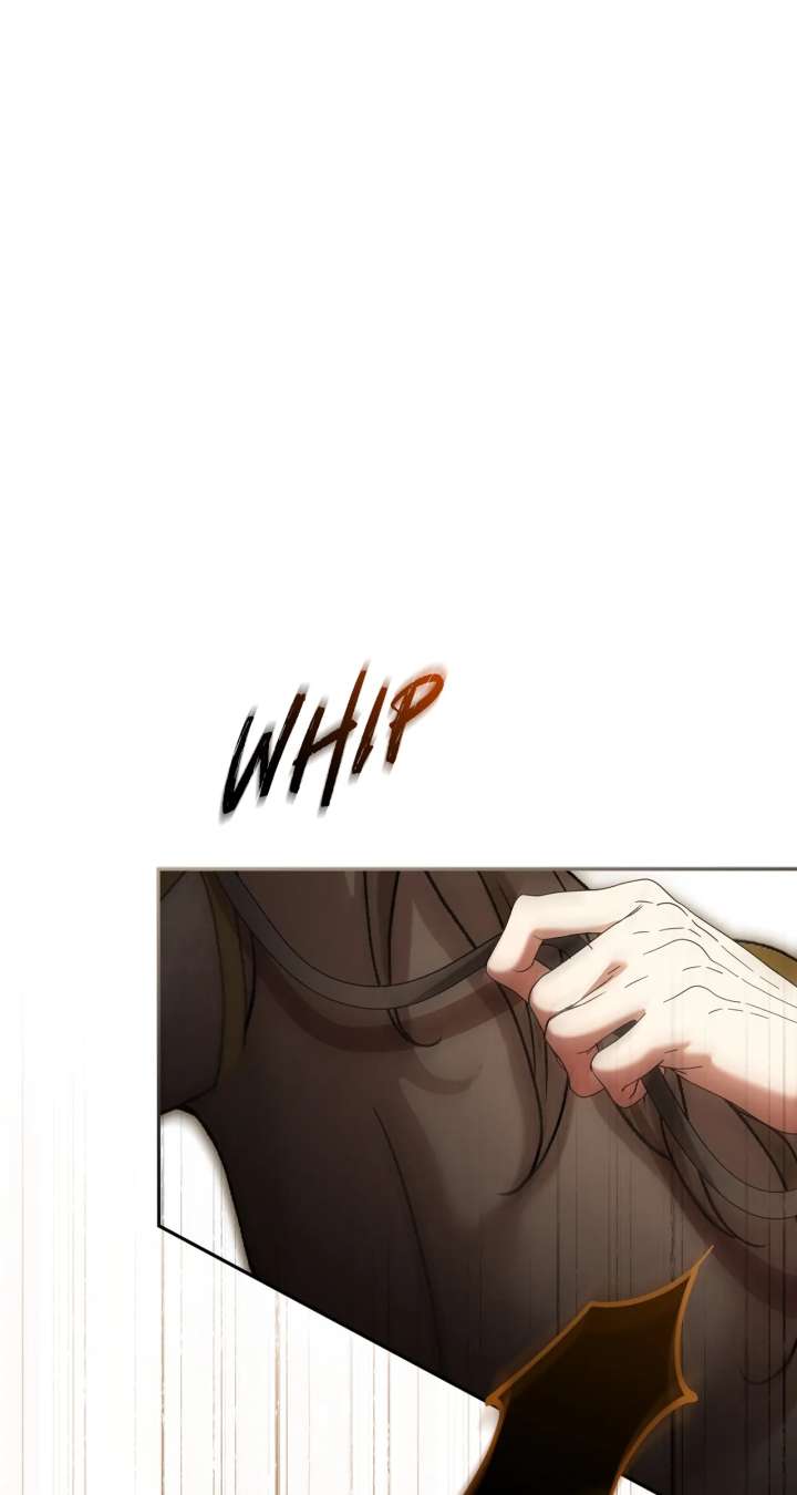 ch 41 2