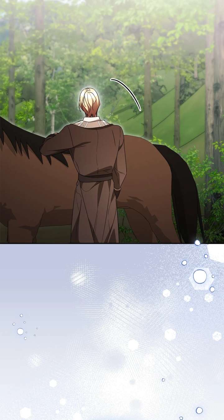 ch 41 26