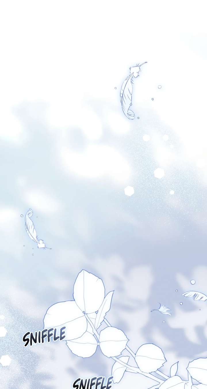 ch 41 9