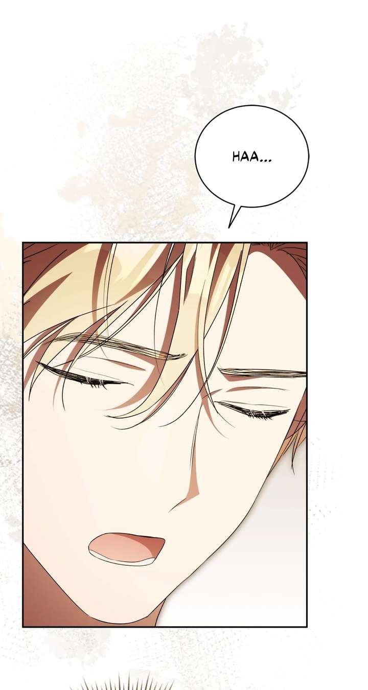 ch 44 19