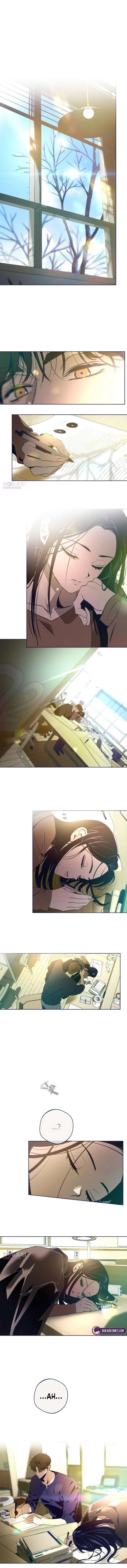 ch 41 15
