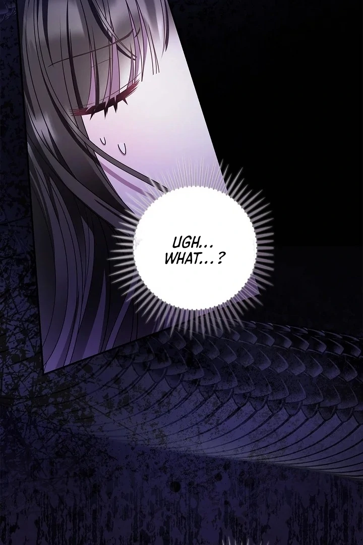 ch 5 2