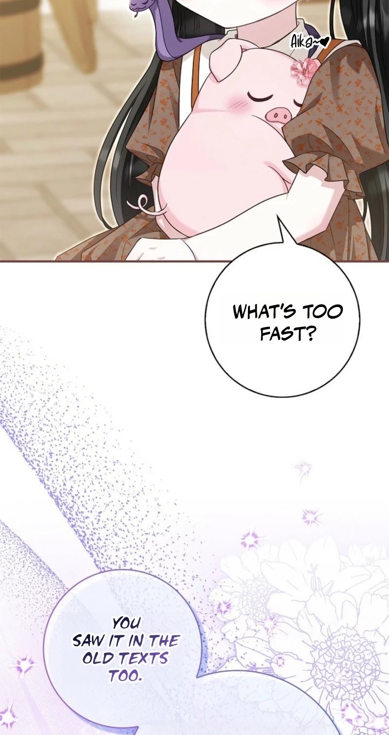 2e6f70eb238d 53
