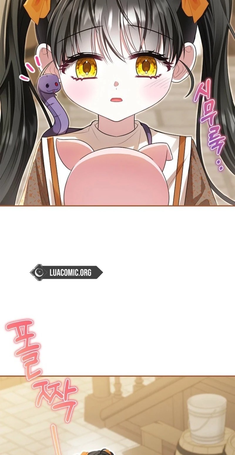 5570347ba3ce 61