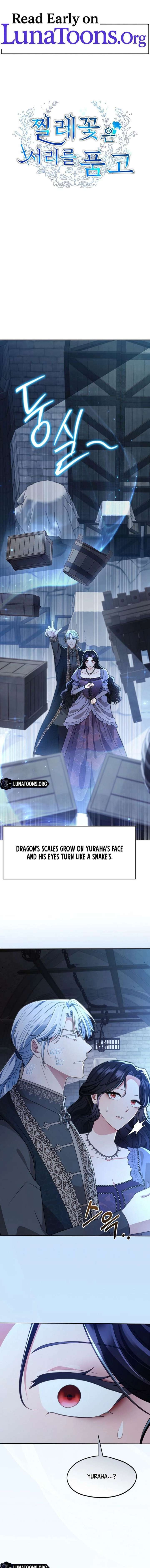 The Wild Rose Embraces the Frost Chapter 21 43 ch 21 1
