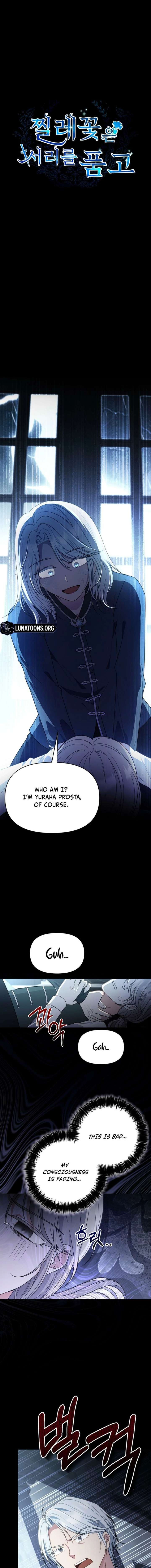 ch 22 1