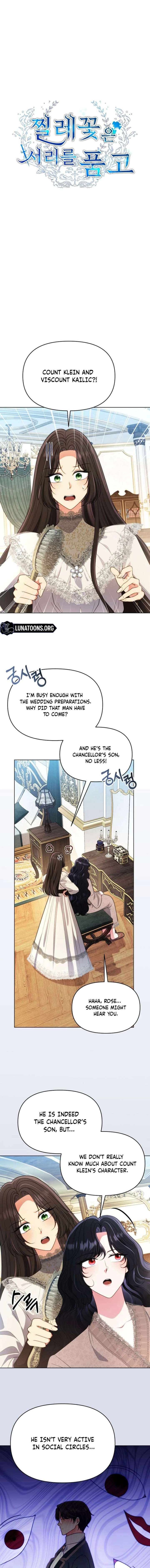 ch 26 1