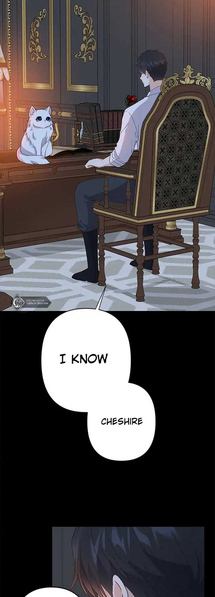 ch 4 3