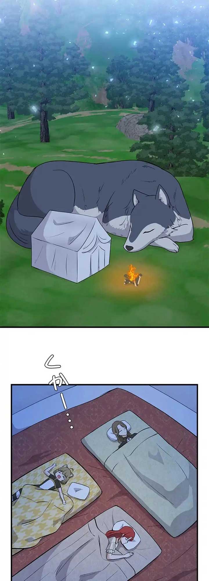 43