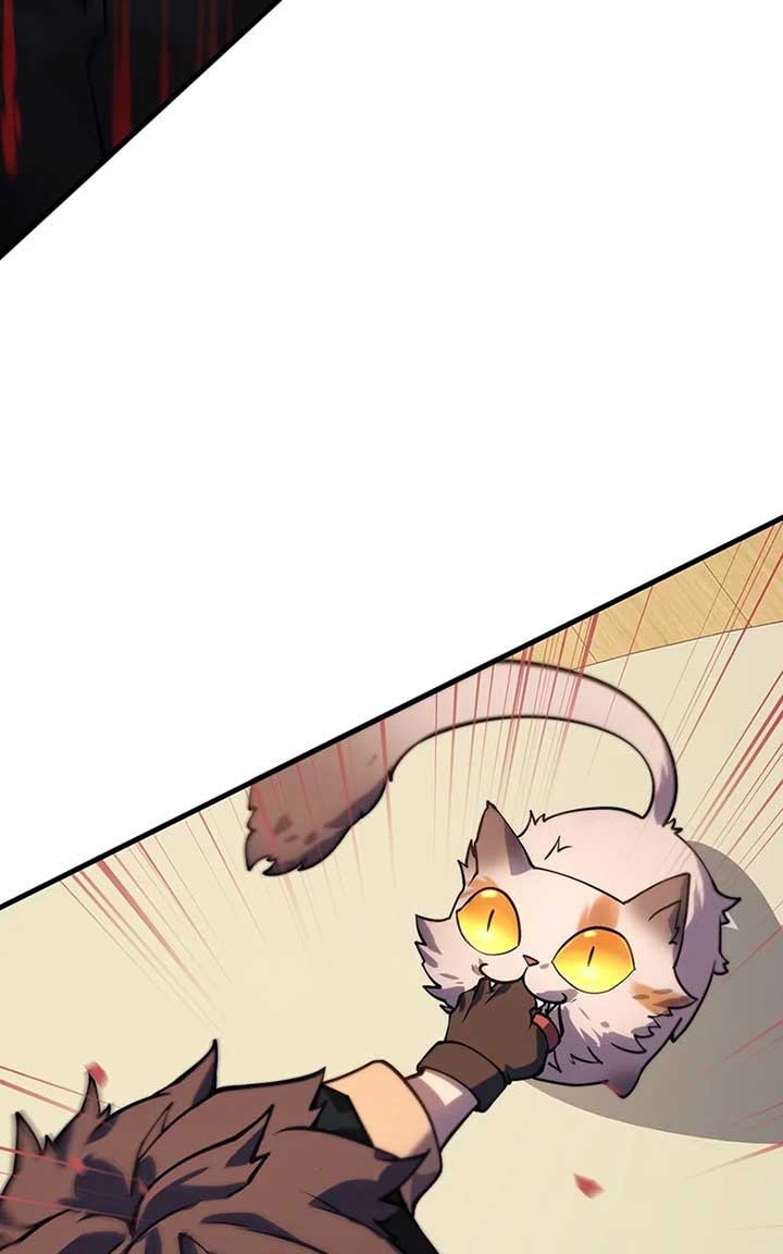 ch 3 176