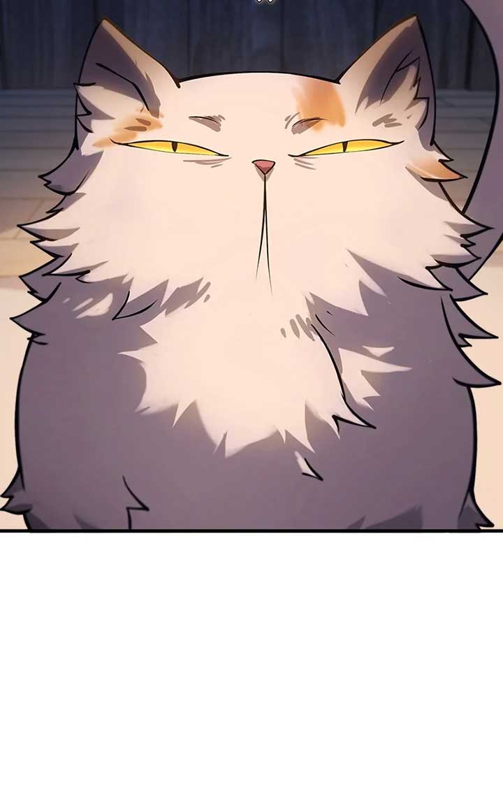 ch 3 207