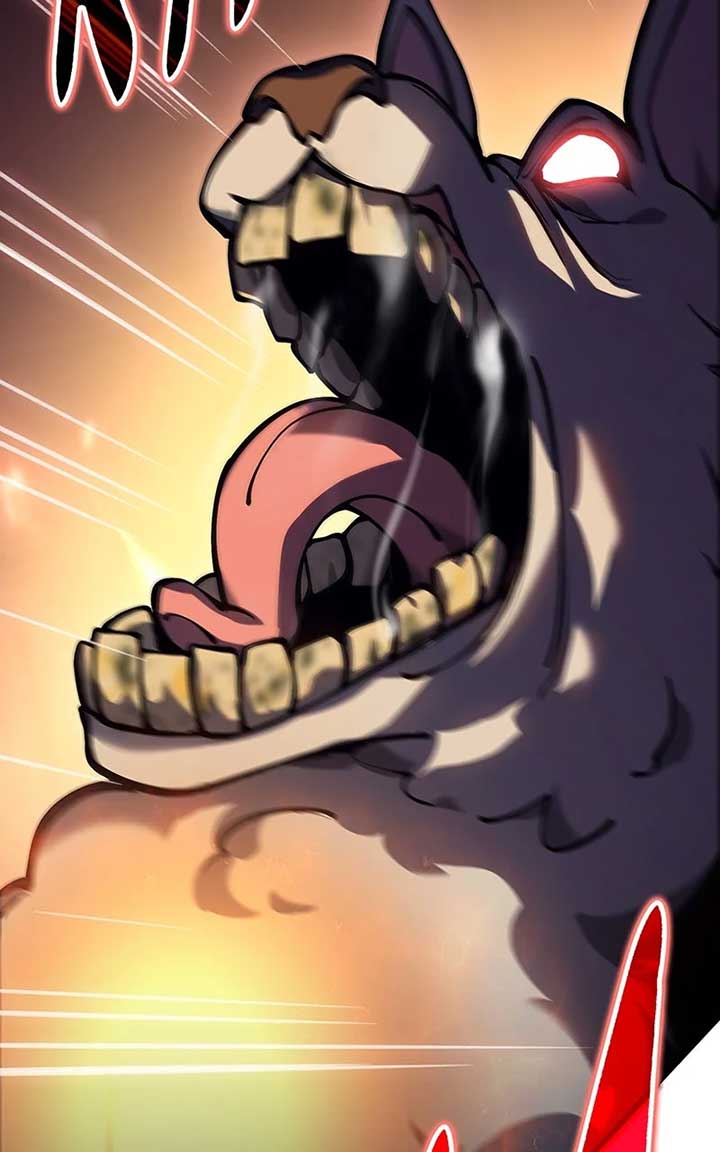 ch 4 224